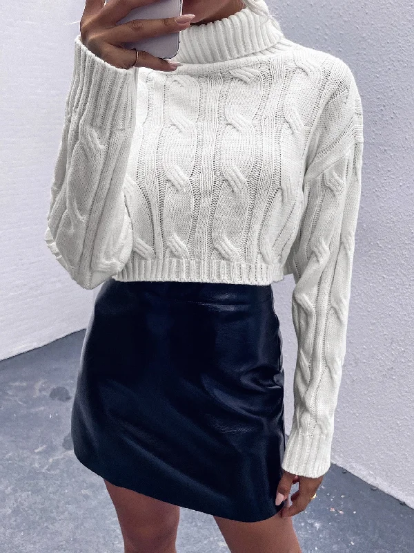 Casual Plain Rib-Knit Long Sleeve High Neck Regular Women Sweater